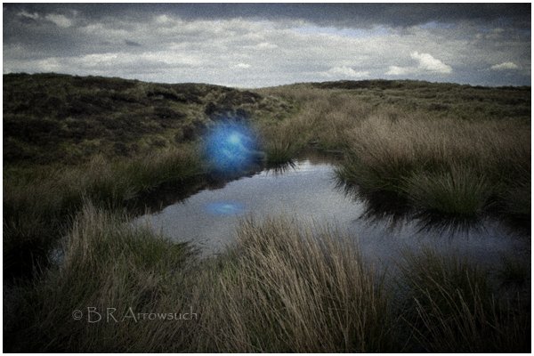 art enginuity define wisps