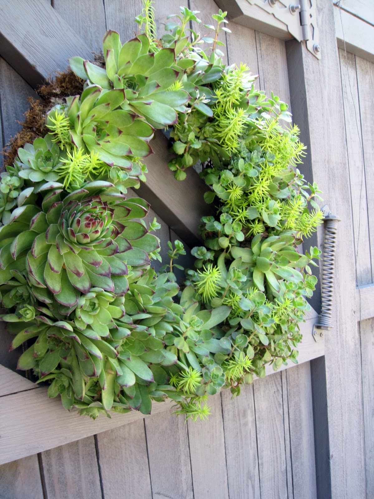 Simple Details diy succulent wreath