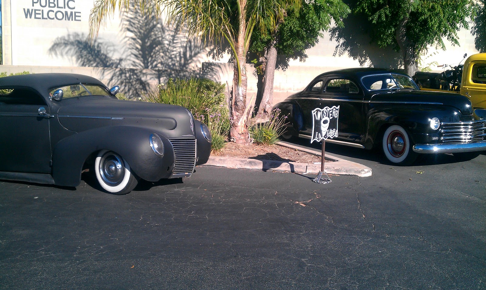chopped plymouth