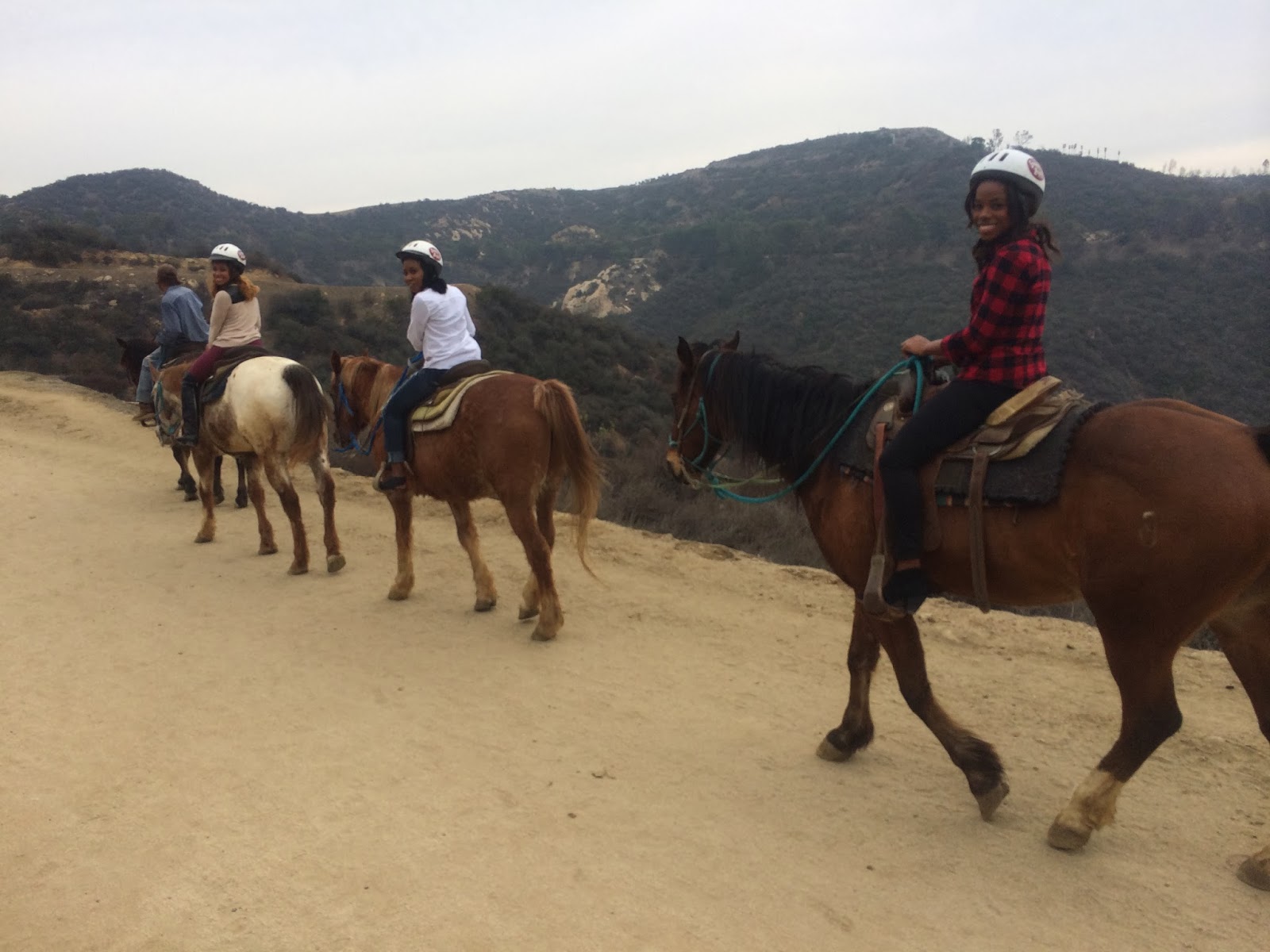 Grace and Gratitude horses and the hollywood hills