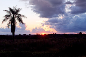 Paraguay