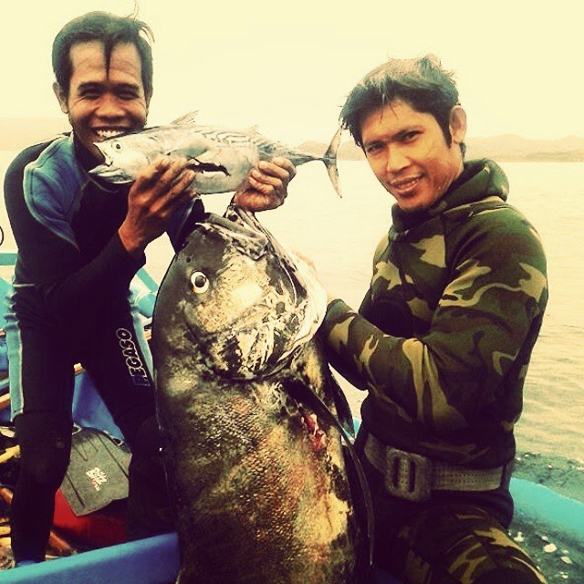 Spearfishing Spanish Mackerel, Red bass, Cod, Maori seaperch, Grouper, GT, Giant Trevally and Black Trevally Lombok, Gili Trawangan Indonesia