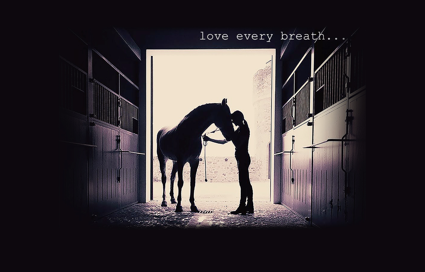 LOVE EVERY BREATH