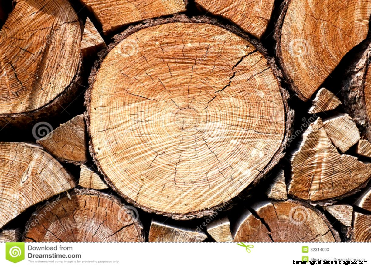 Cut Tree Trunk Stock Photos Image 32314003 Cut Tree Trunk Stock Photos Image 32314003