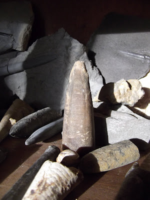 DSCF2949.JPG