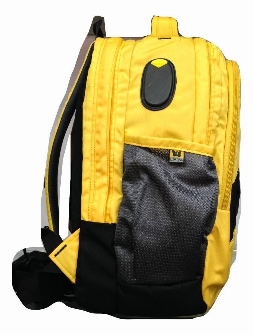 liviya bags amazon