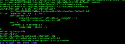 Getting Started with Python on SAP HANA XSA