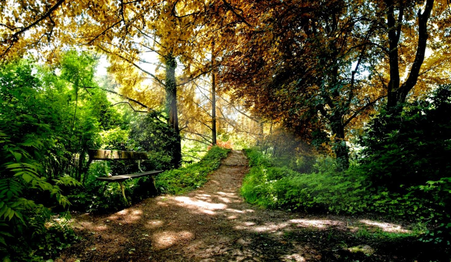 PC Desktop 2015 nature HD Wallpapers   HD 1920x1080p wallpaper PC Desktop 2015 nature HD Wallpapers   HD 1920x1080p wallpaper