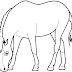 Desenhos de Cavalo para Colorir
