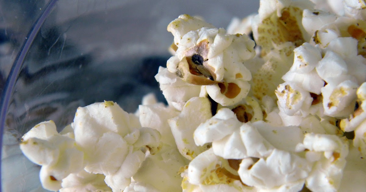Kettle Korn Cookies What Smells So Good?