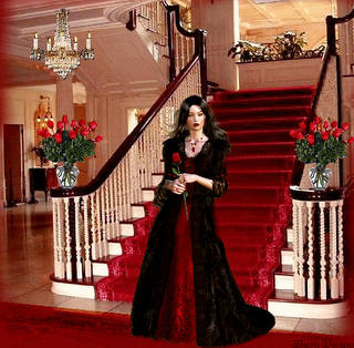 roupa de dama da noite