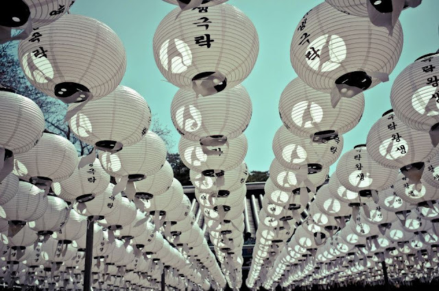 White Lanterns