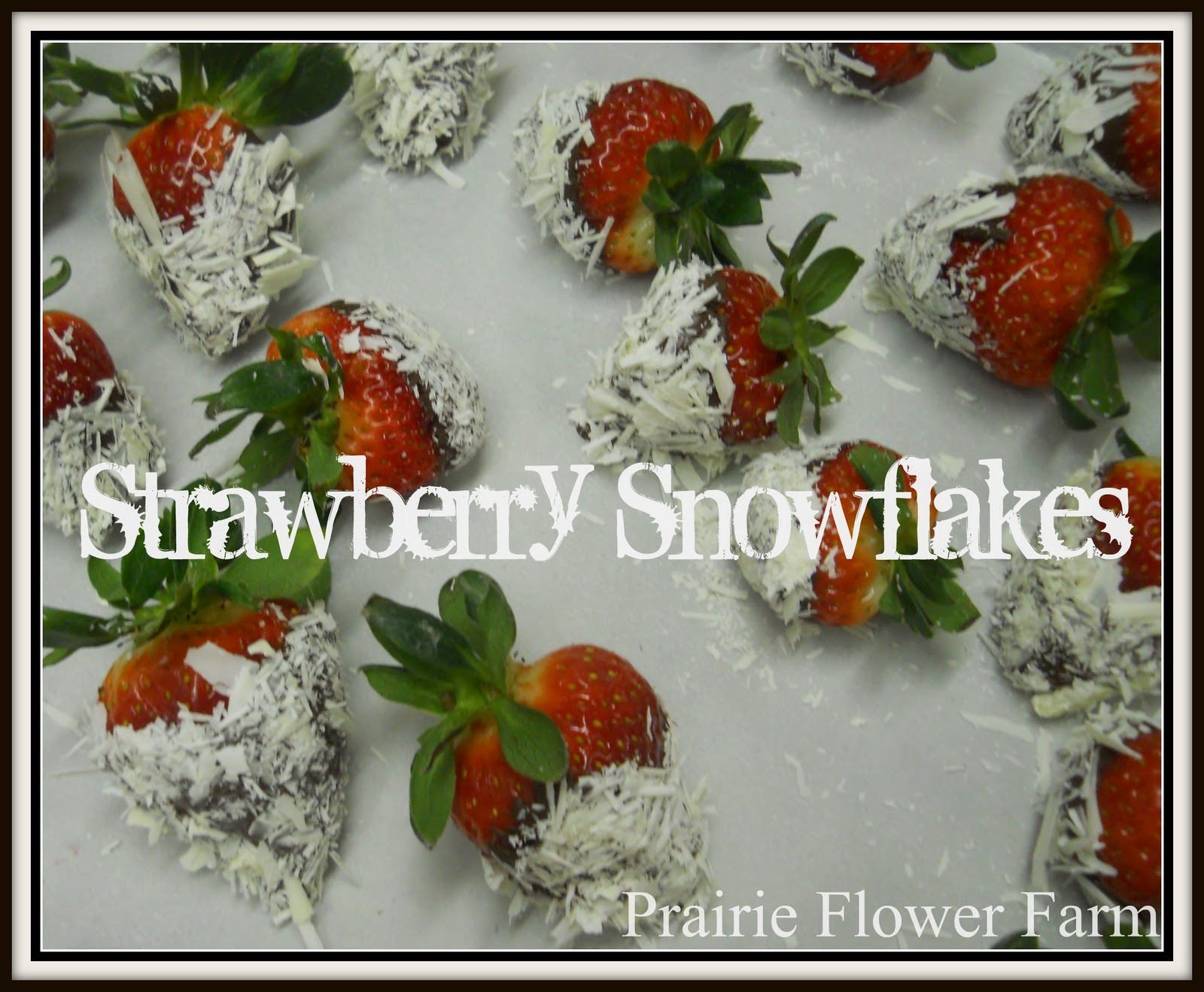 Prairie Flower Farm Strawberry Snowflakes for Valentine