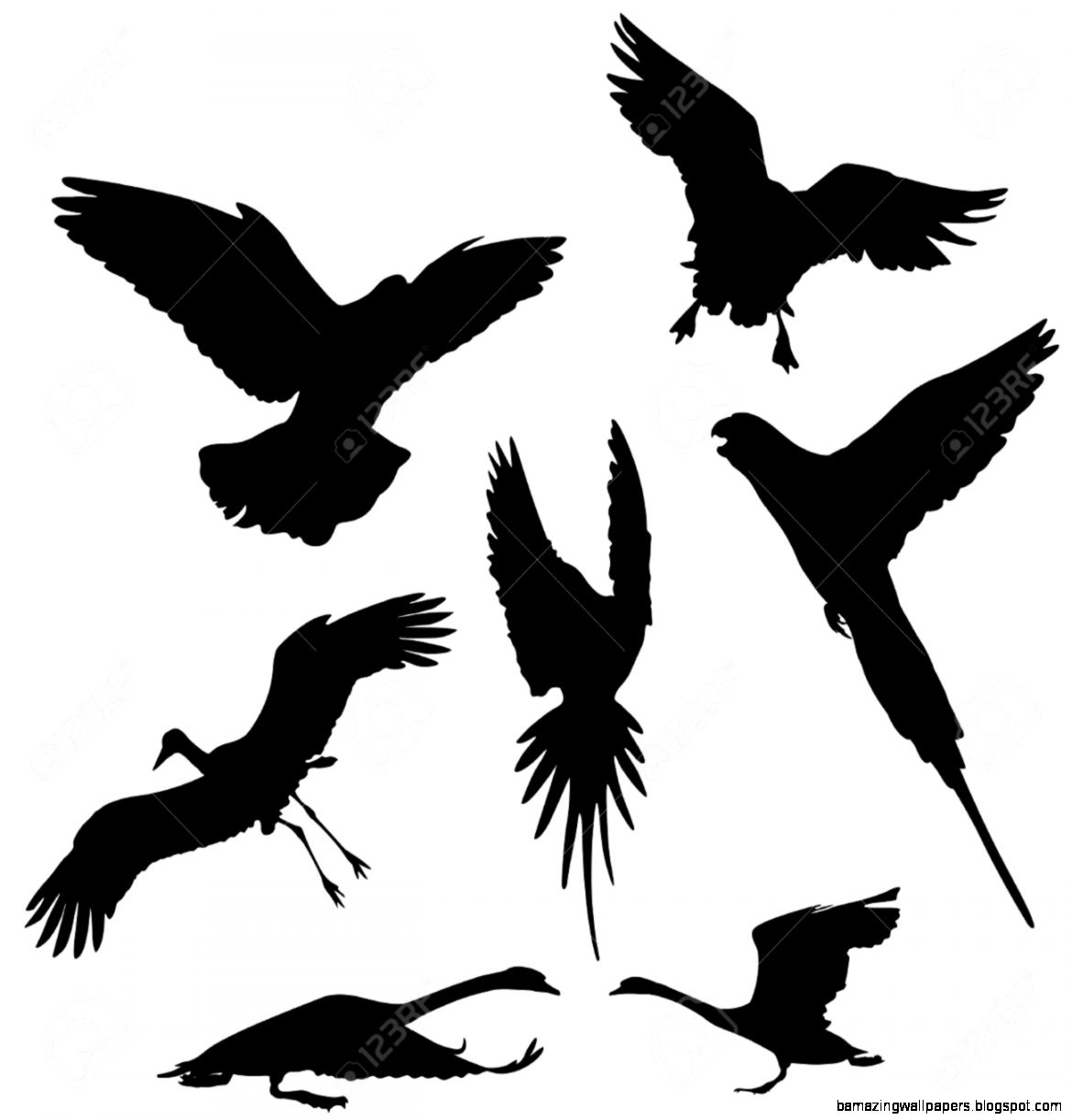 Flying Bird dovegoosestork parrot And Swan Vector Silhouettes Flying Bird dovegoosestork parrot And Swan Vector Silhouettes