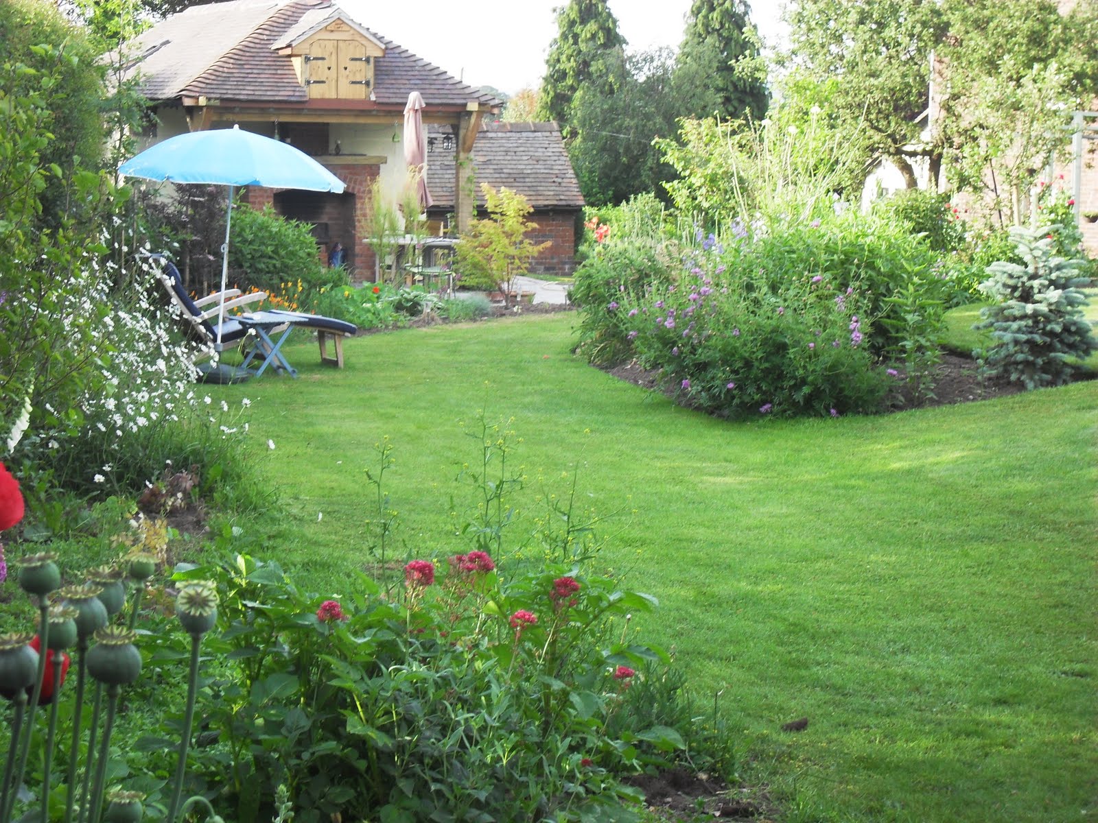 Holly Grove Garden Wild About Gardening