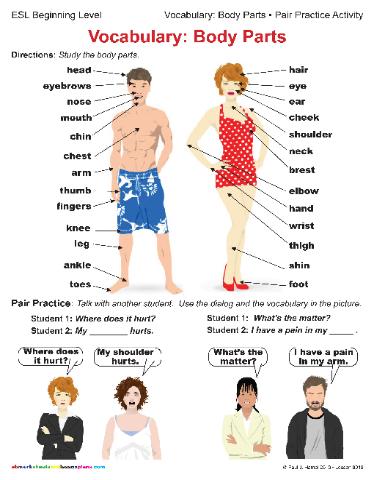 Worksheets Beginning Esl Worksheets beginner vocabulary worksheets delibertad esl delibertad