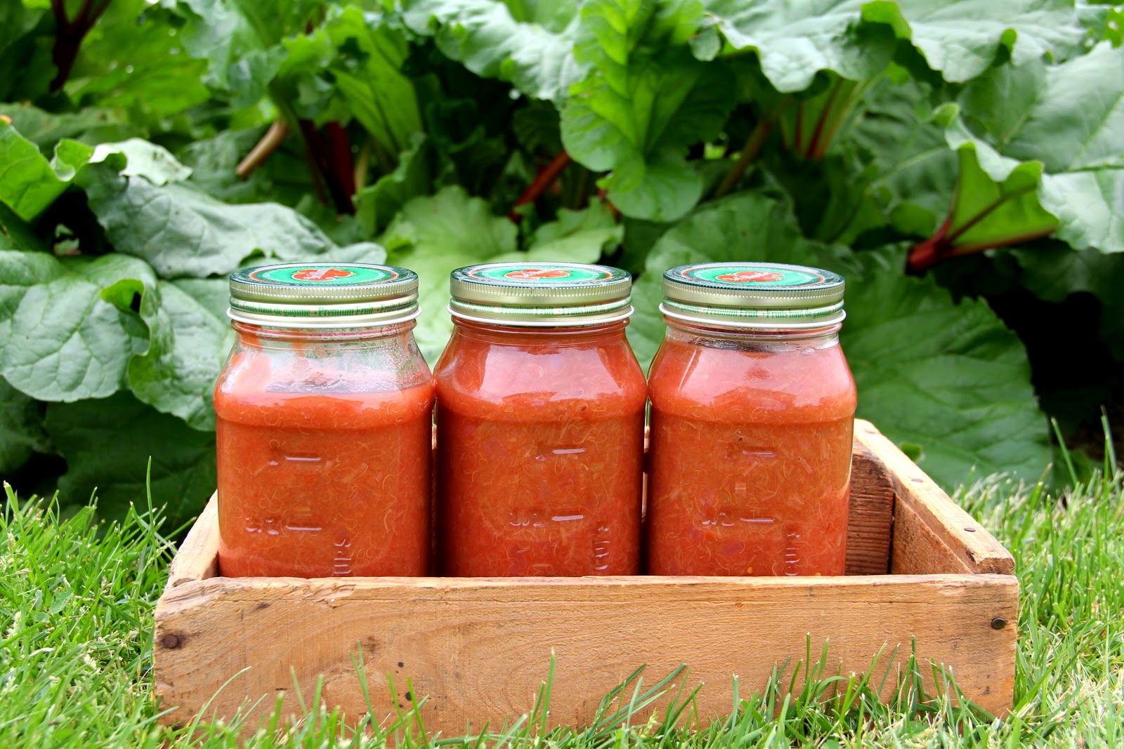 Mennonite Girls Can Cook Sweet and Savoury Rhubarb Sauce