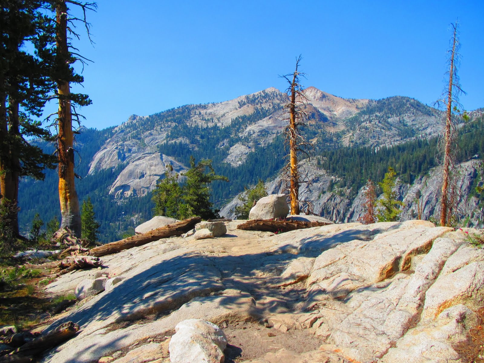 looboos Camping at Lodgepole in the Sequoia National Park