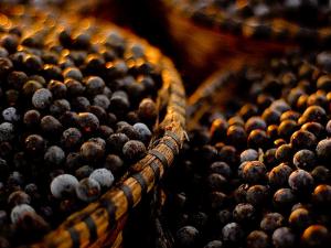 Acai Berry