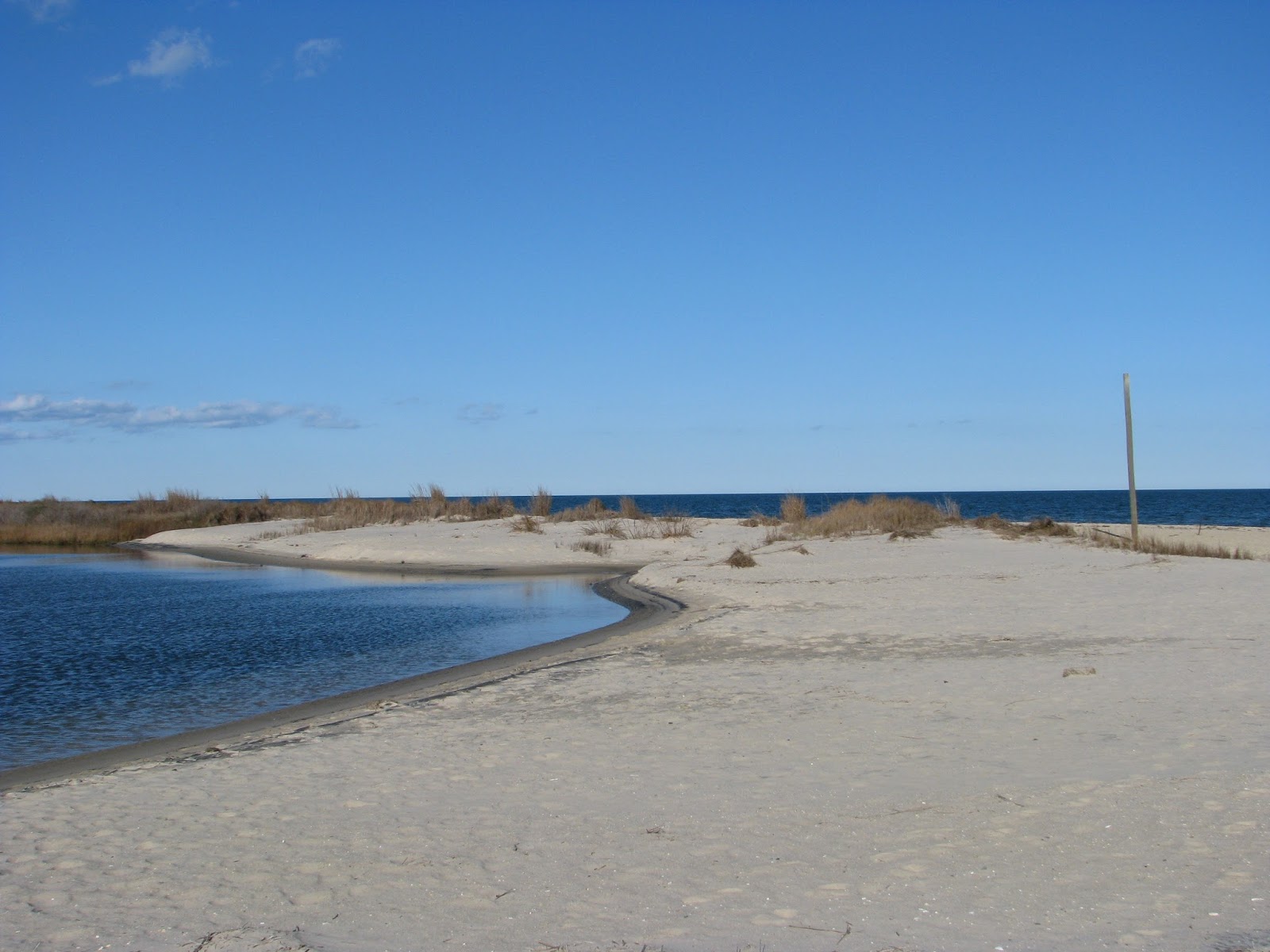 Life in Mathews Bethel Beach