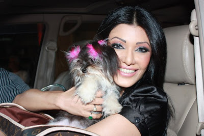 Bollywood Stars Pet Wallpaper