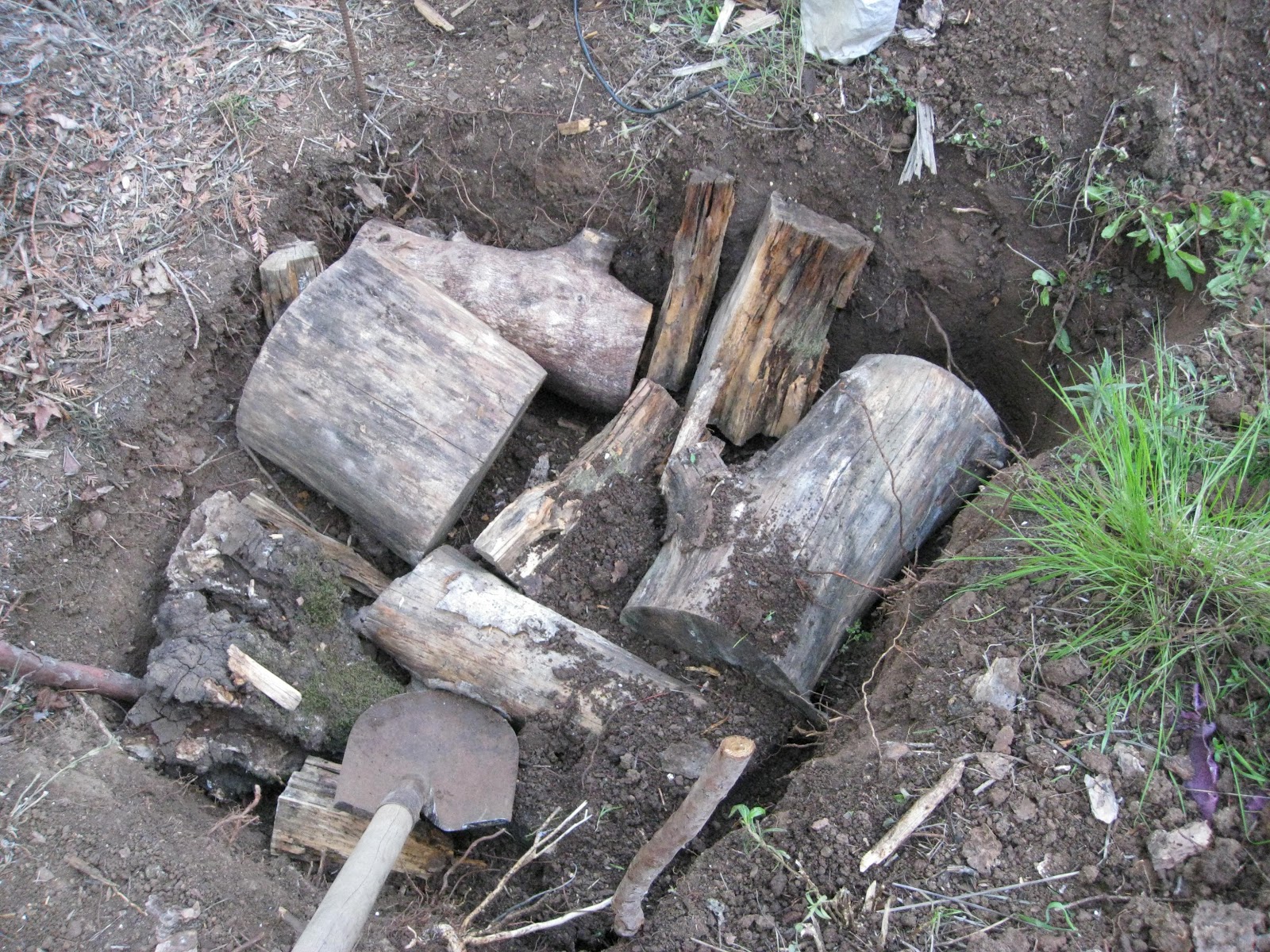 Low Cost Vegetable Garden Hugelkultur works!