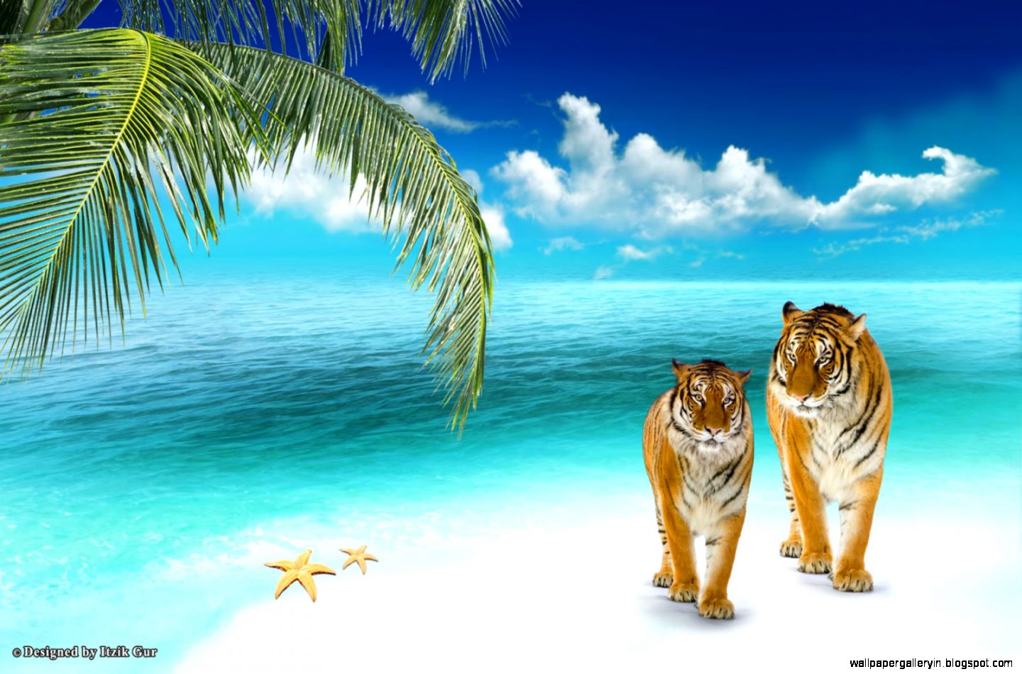 Beach HD Wallpaper Romantic beautiful desktop wallpapers 2014 Beach HD Wallpaper Romantic beautiful desktop wallpapers 2014