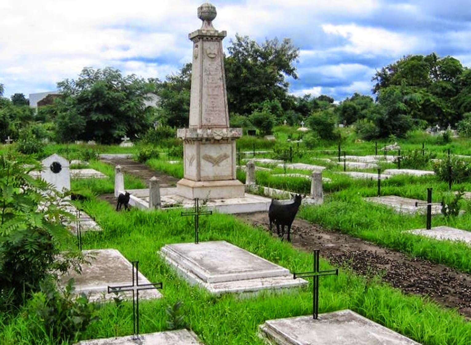 Fonte No Antigo Parque De Bispo No Plano Oeste Texas. Foto de