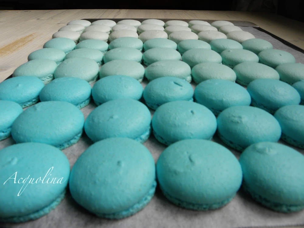 Acquolina Blue Velvet Macarons