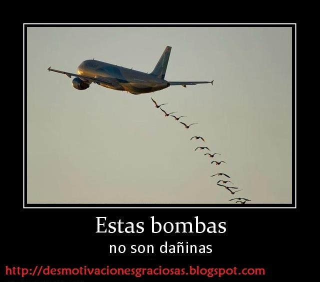 Desmotivaciones Graciosas Nueva entrega de las mejores desmotivaciones