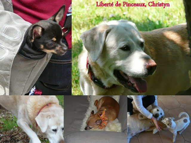 christiane f 13 ans droguée prostituée fnac