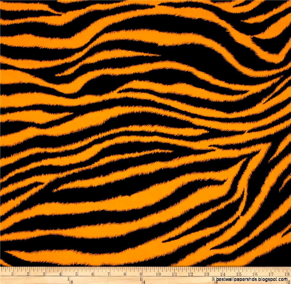 Tiger Print Wallpaper | Best Wallpaper HD