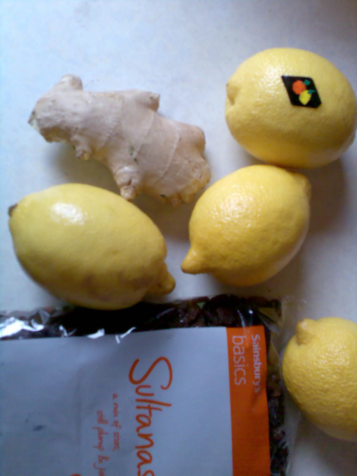 Ben's Adventures in Wine Making Ginger Wine The Making Of