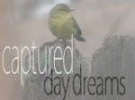 Captured Day Dreams