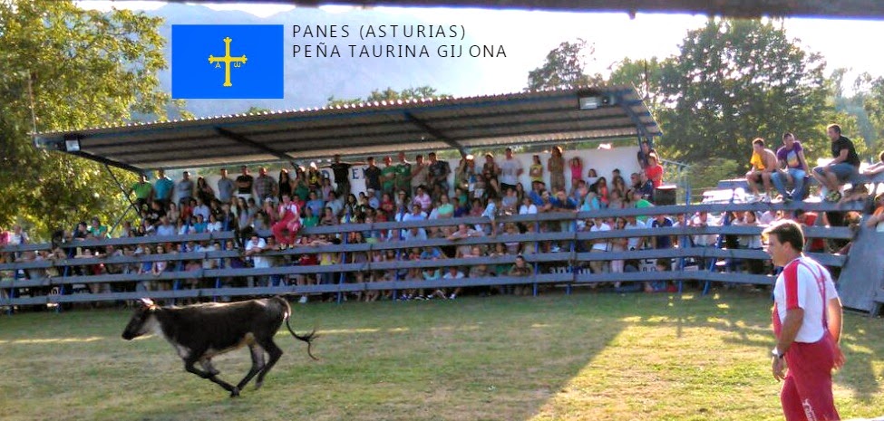 PANES ASTURIAS