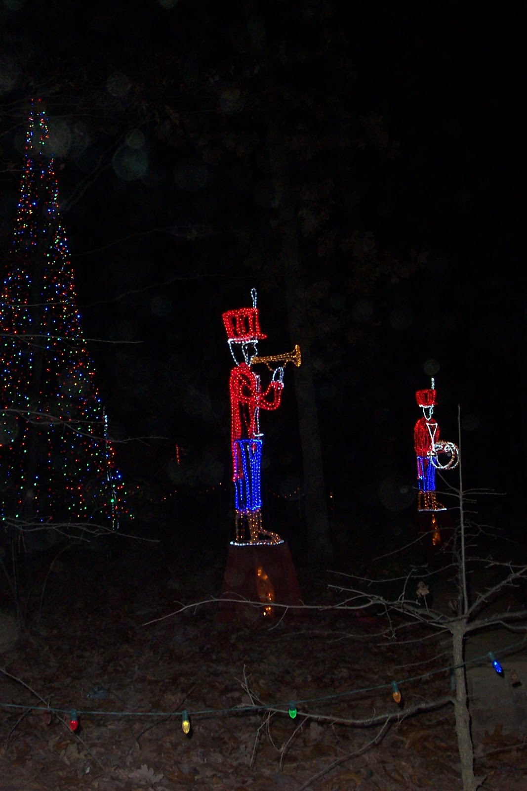 Simple, But Fabulous Garvan Gardens, Christmas Lights, Hot Springs, AR