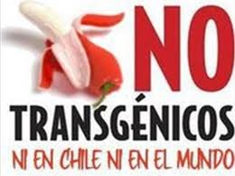 Chile Sin Transgénicos Descarga+%25282%2529