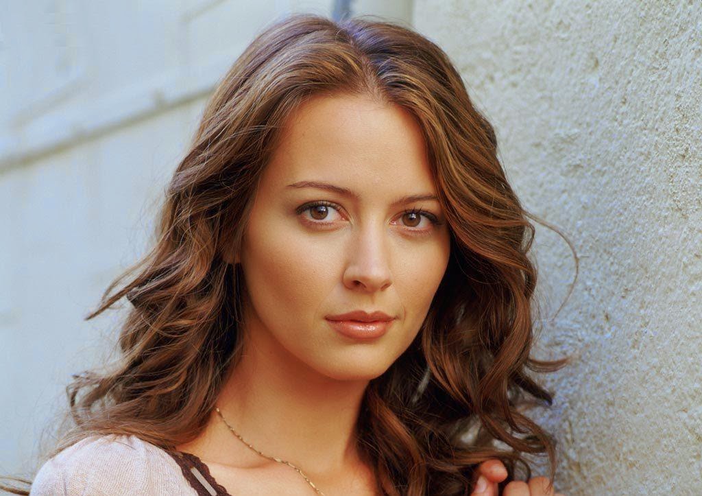 STAR FREE DOWNLOAD HD WALLPAPERS: Amy Acker Hd Wallpapers 