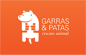 Garras y patas, es una fundación que busca ayudar a perros y gatos abandonados en Chile