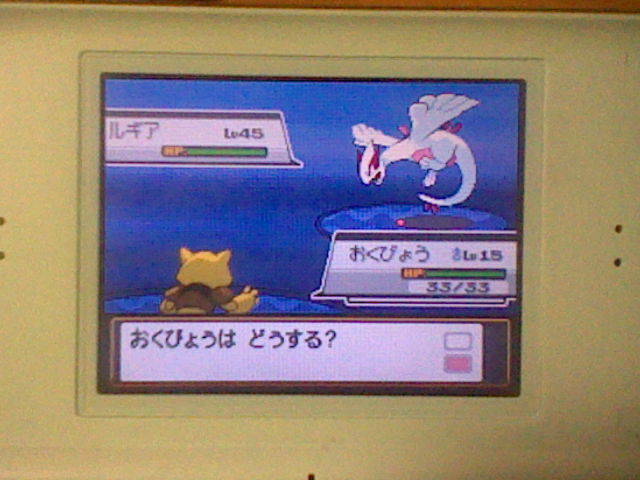 ルンのポケモン日記 ルギア爆誕
