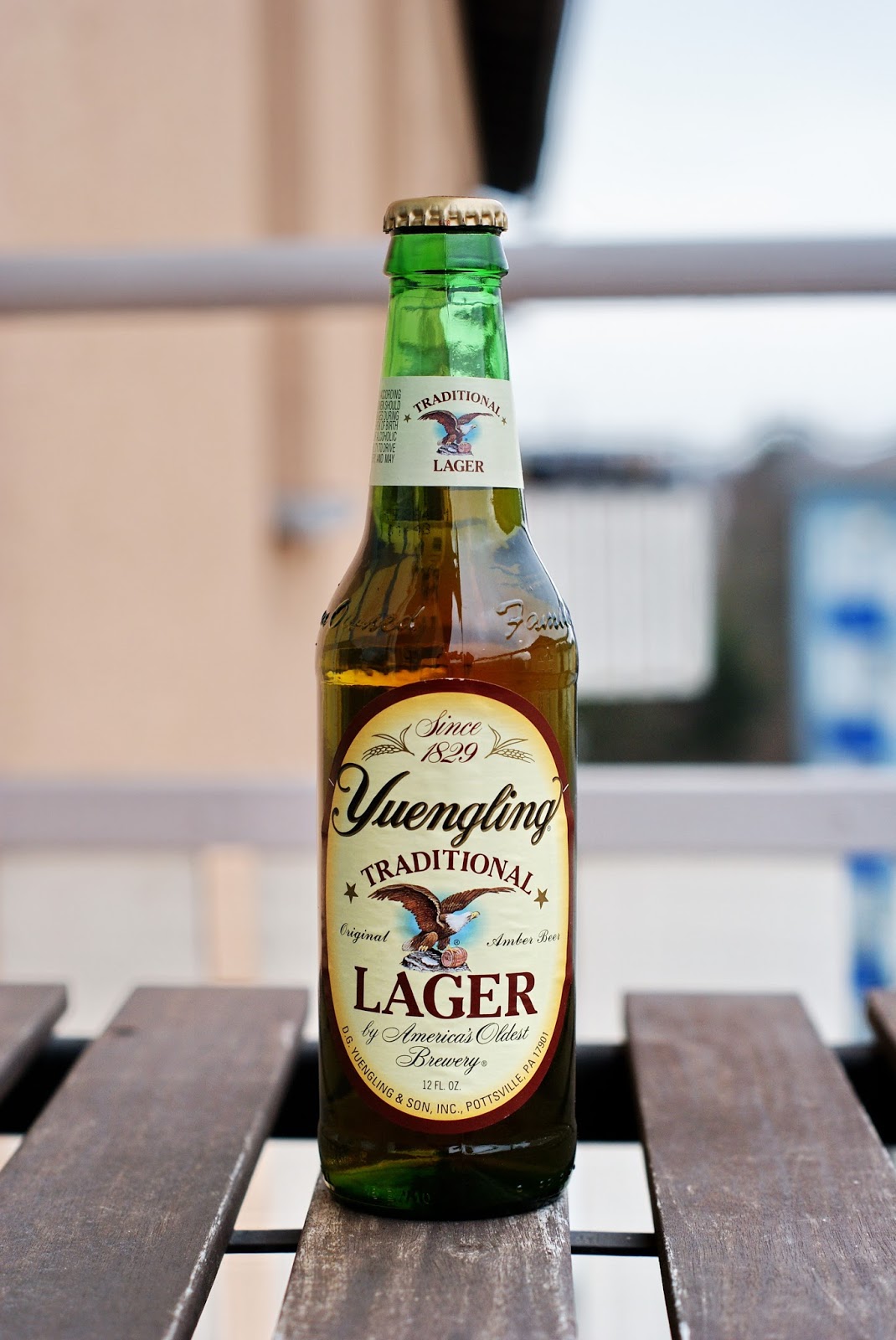 Der Bierige Blog Yuengling Traditional Lager