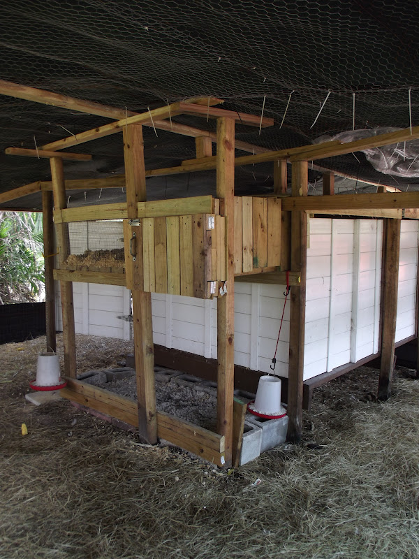 The Compound Brooder Pen