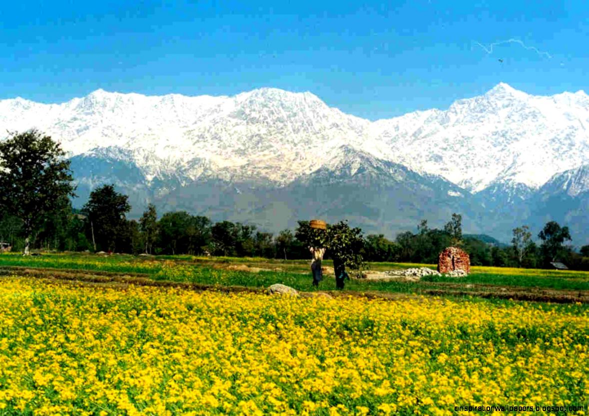 Himachal Pradesh Kangra Valley Himachal Pradesh Kangra Valley