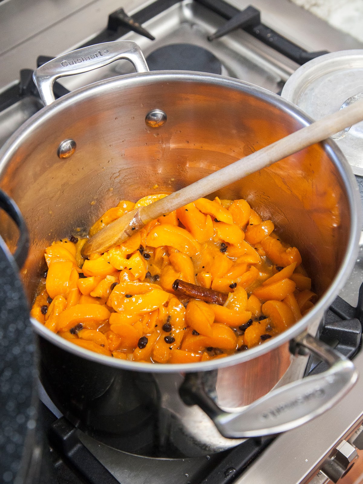 Dried Apricot Chutney Indian Recipe at Gregory Gee blog