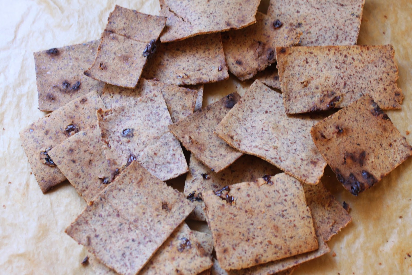 Fancy Food Thoughts Almond Pulp Cinnamon Raisin Crackers Grain Free