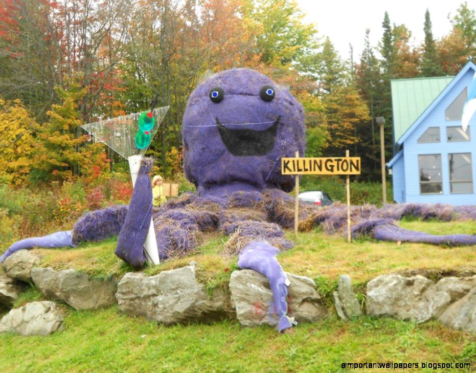 Killington Hay Festival Images Photos Pictures Page 1 Killington Hay Festival Images Photos Pictures Page 1