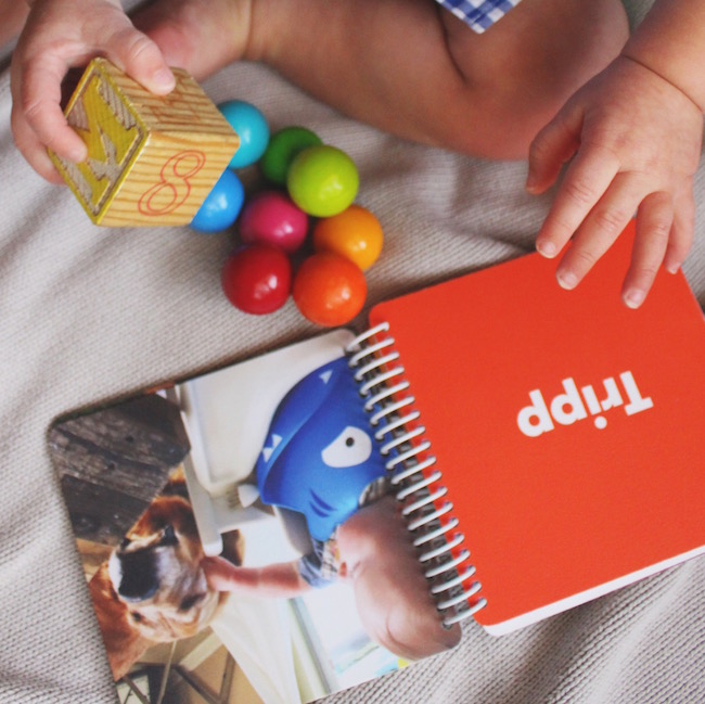 One Fine Day PINHOLE PRESS