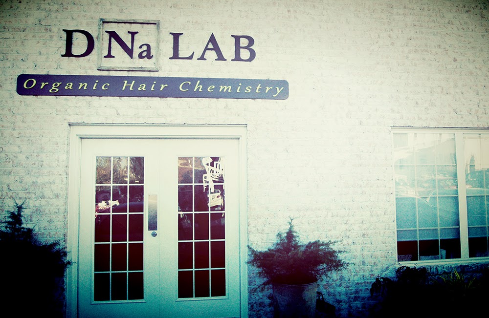 The Queen's Table DNa Lab Organic Hair Chemistry Salon Healthier Hair