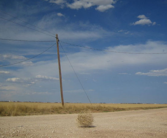 Tumbleweed