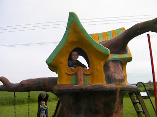 house on stilts playground